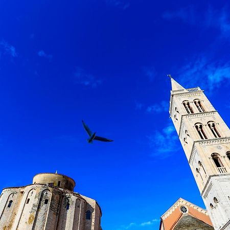 Ryanair'S Urban Flat In Zadar-Kolovare Beach المظهر الخارجي الصورة