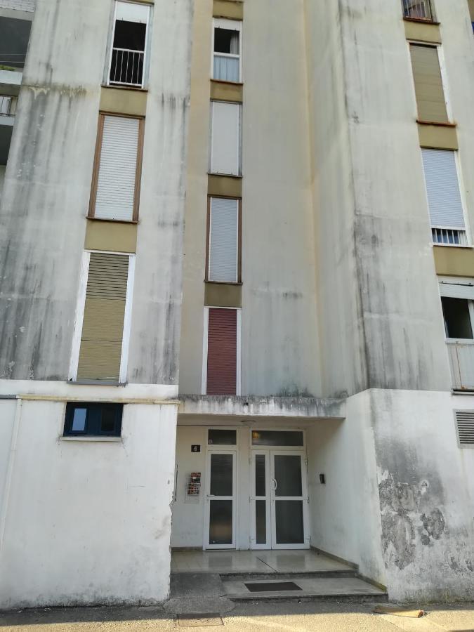 Ryanair'S Urban Flat In Zadar-Kolovare Beach المظهر الخارجي الصورة